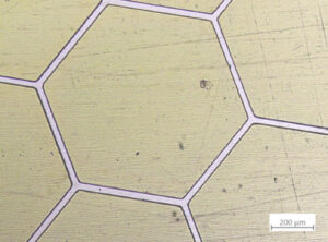 Zoom: 1x / Objective: Epi-plan 5x/0,13 / MicroscopeName: MICRO